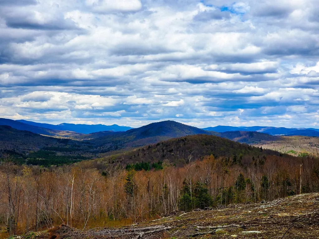 1705 Charlie Wilson Road Bethel VT 05032