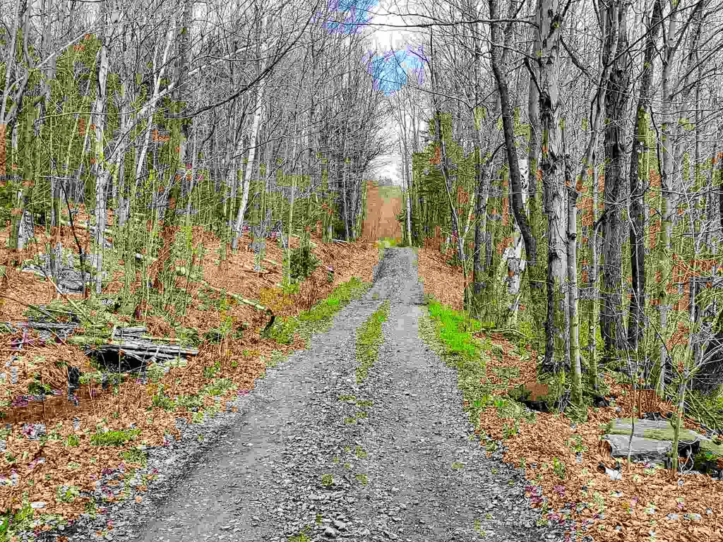 1705 Charlie Wilson Road Bethel VT 05032
