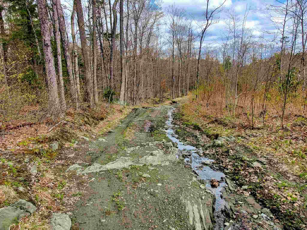 1705 Charlie Wilson Road Bethel VT 05032