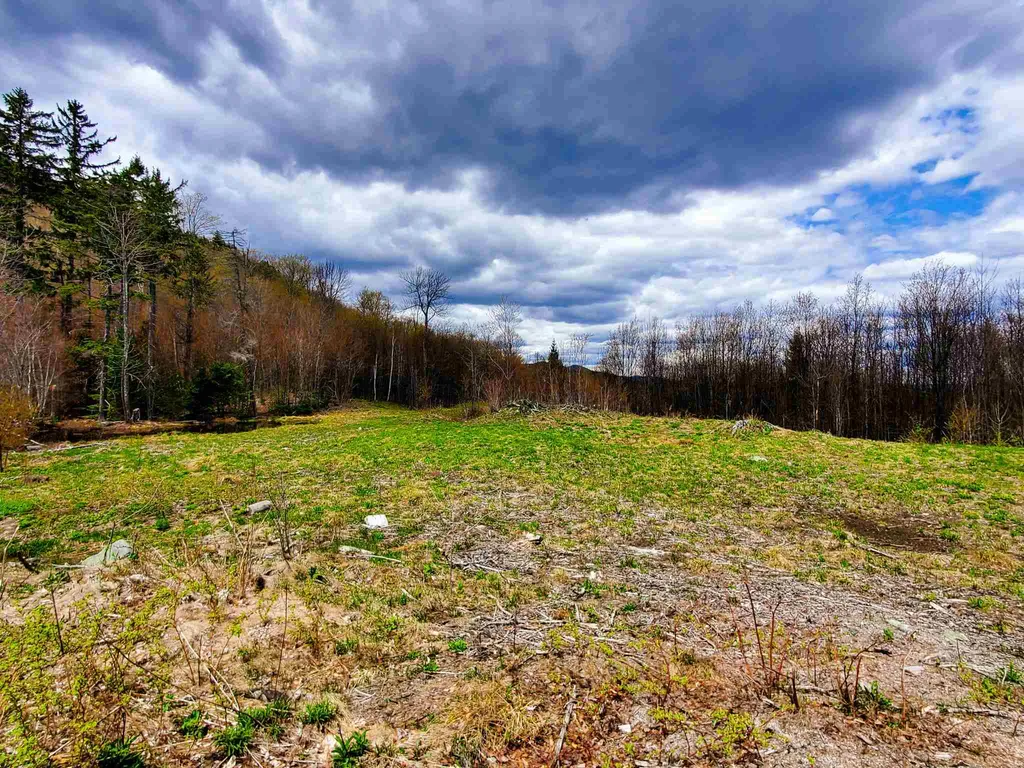 1705 Charlie Wilson Road Bethel VT 05032