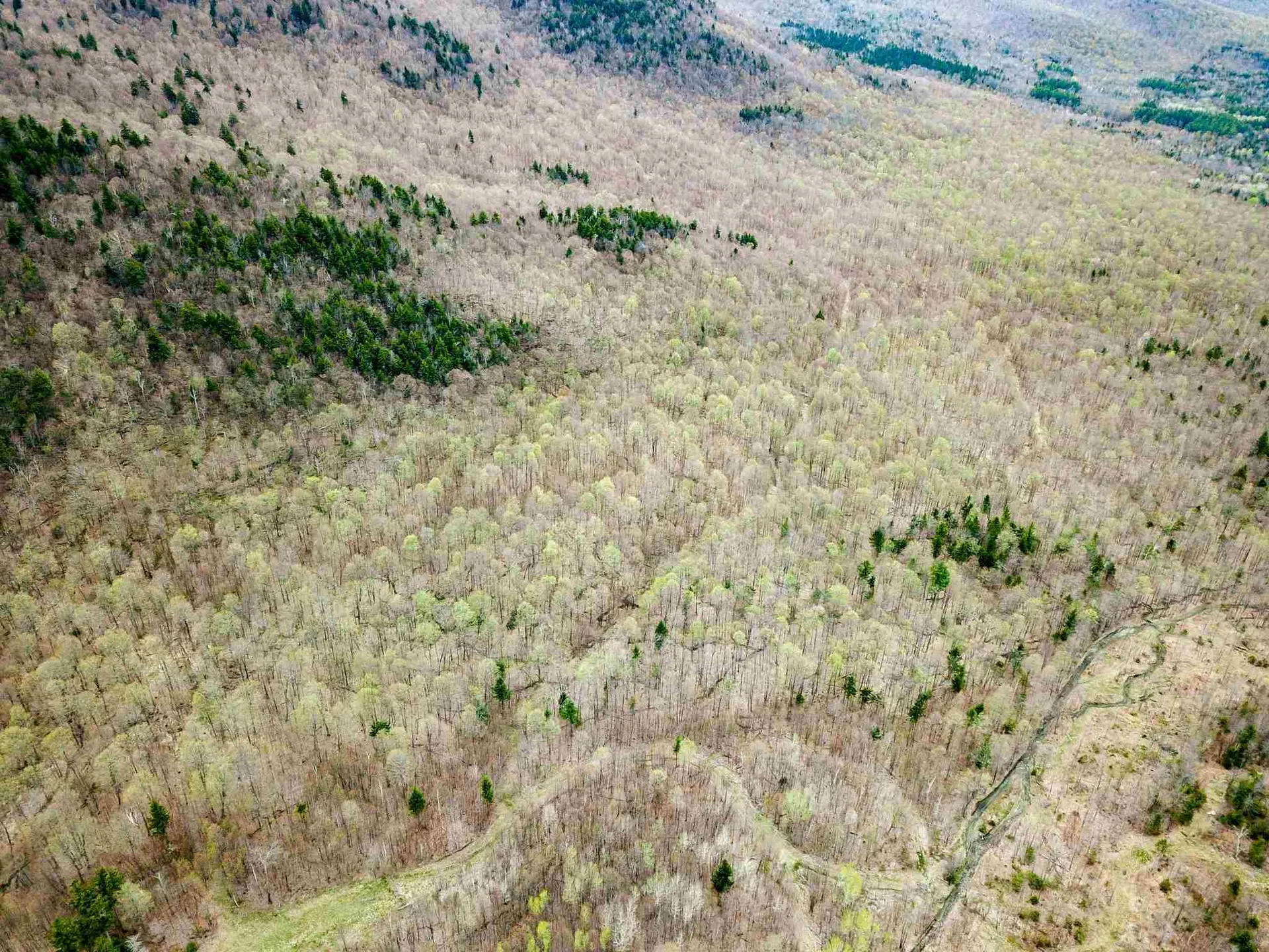 1705 Charlie Wilson Road Bethel VT 05032