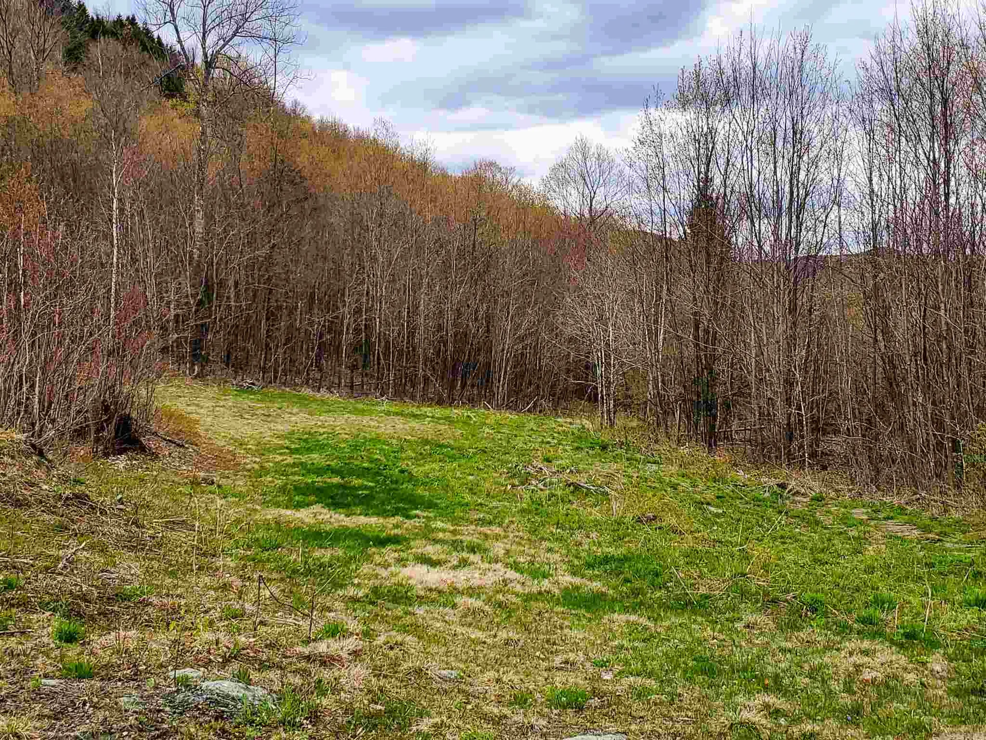 1705 Charlie Wilson Road Bethel VT 05032