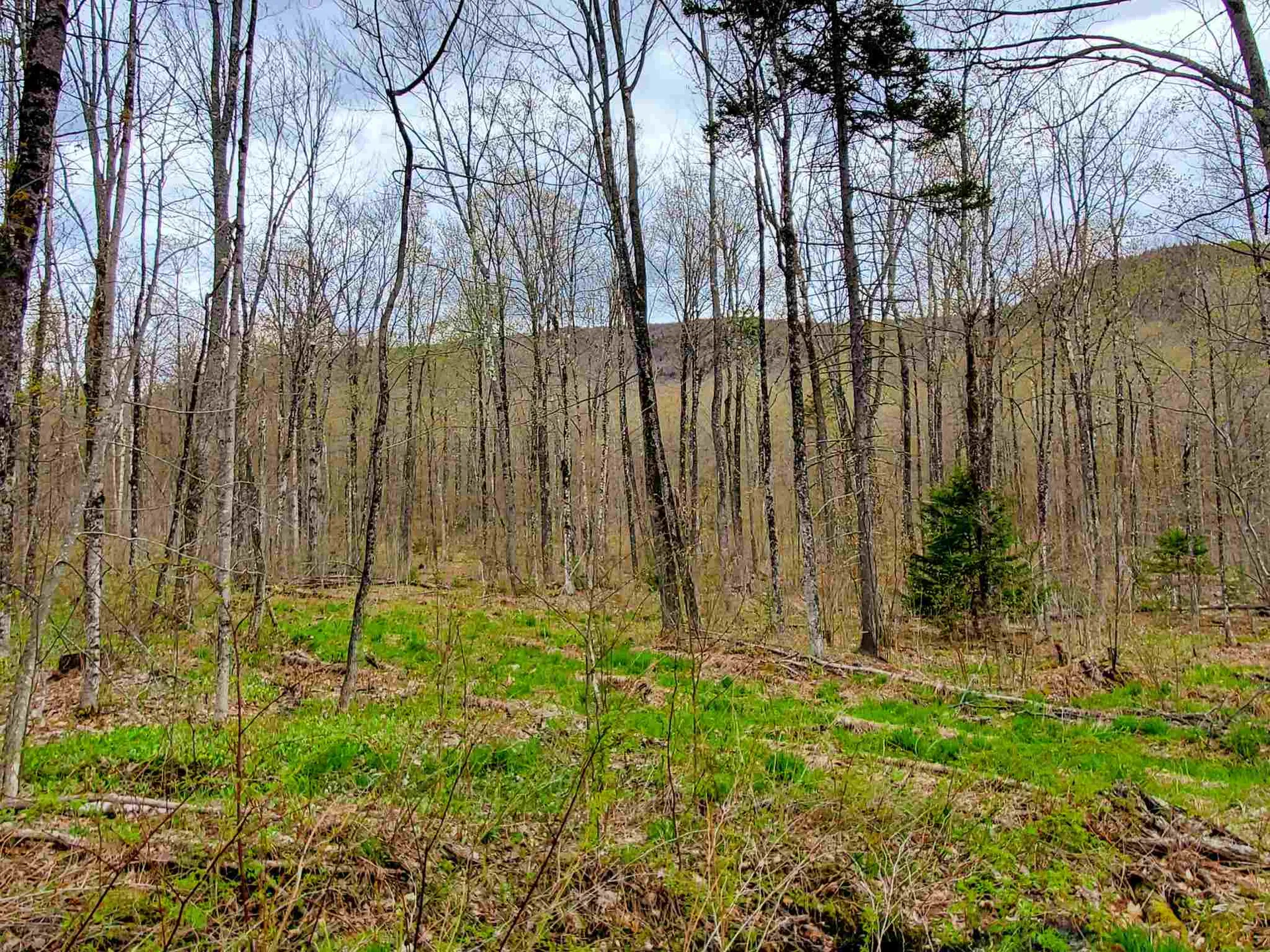 1705 Charlie Wilson Road Bethel VT 05032