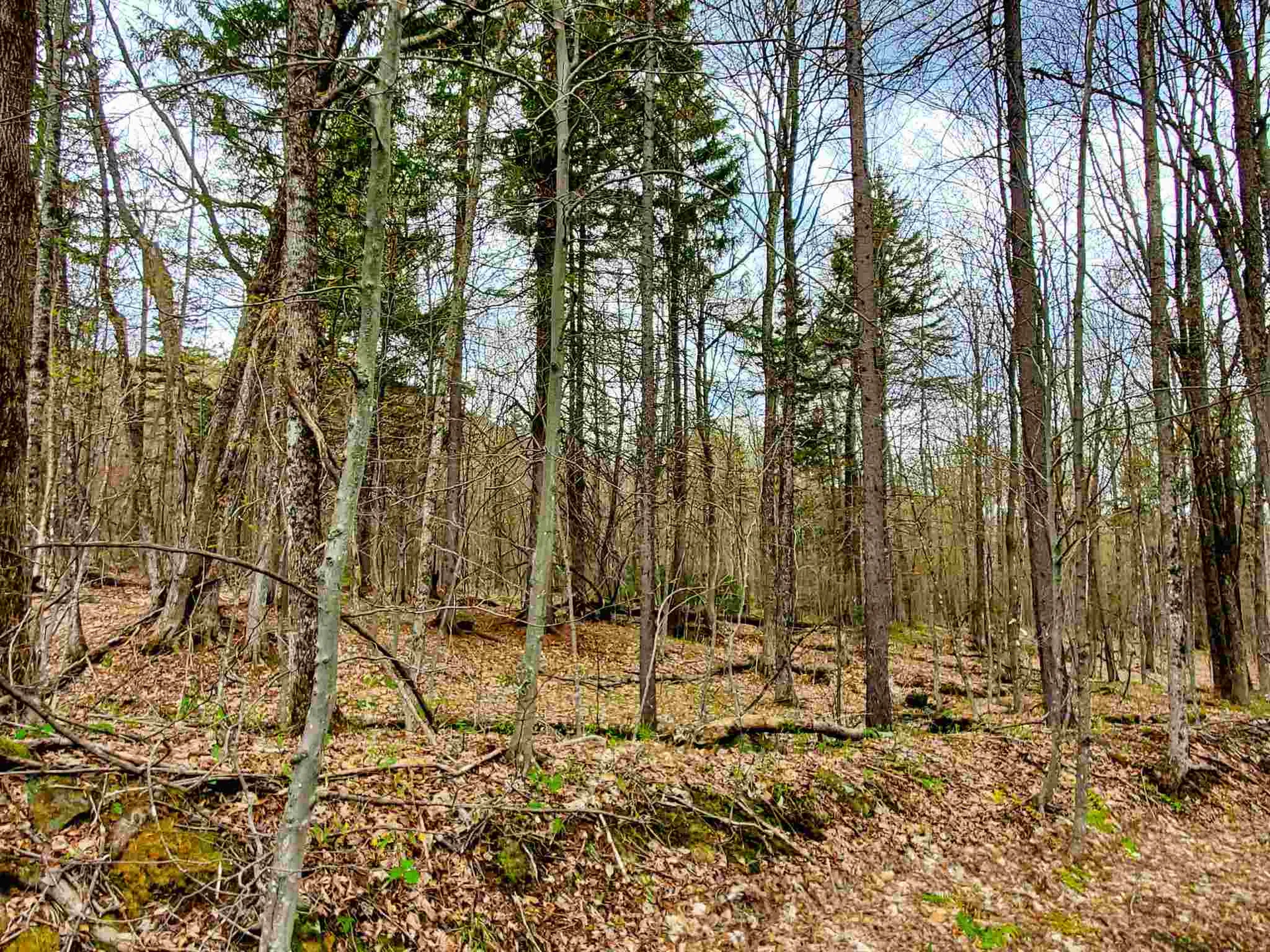 1705 Charlie Wilson Road Bethel VT 05032