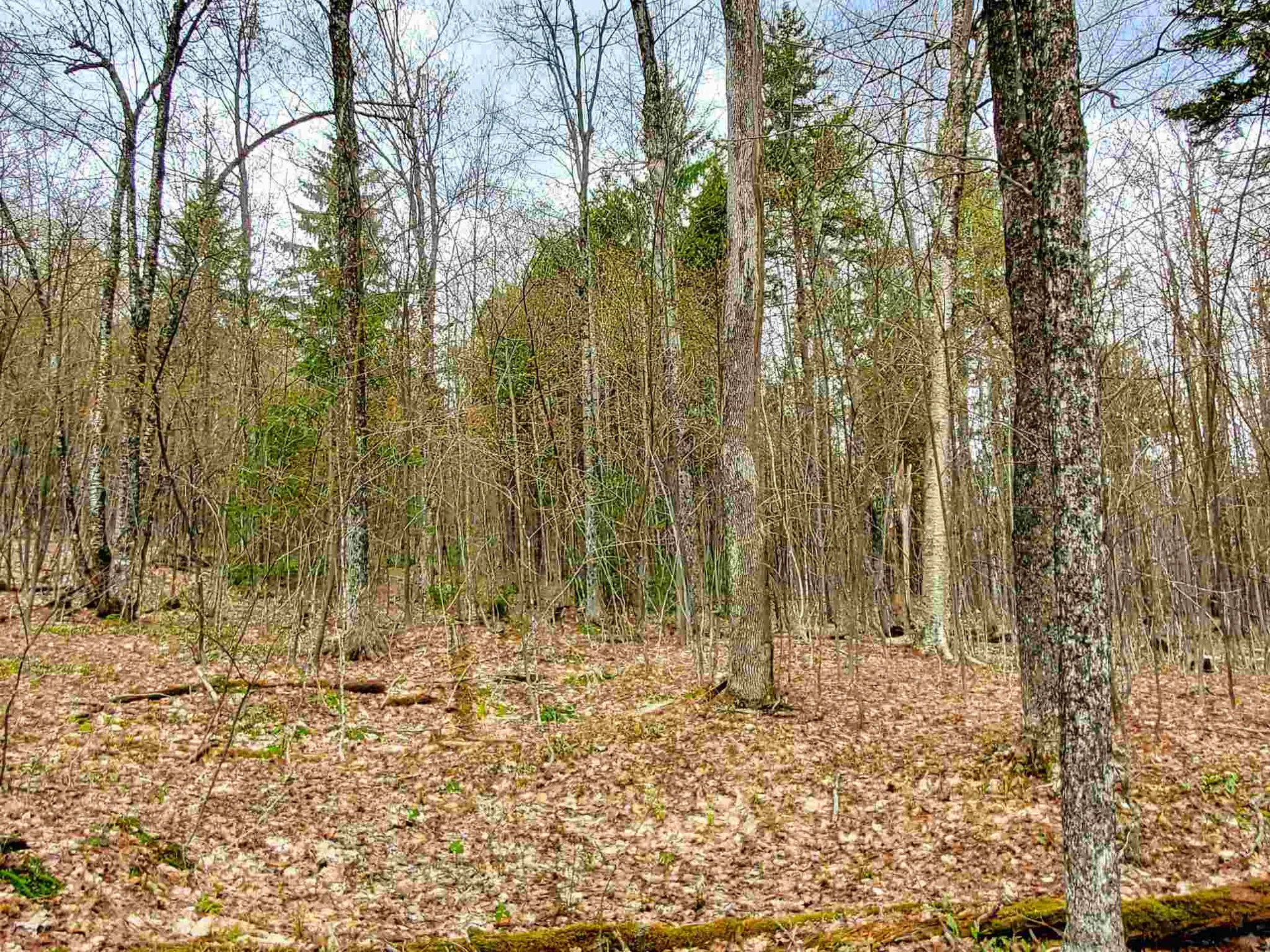 1705 Charlie Wilson Road Bethel VT 05032