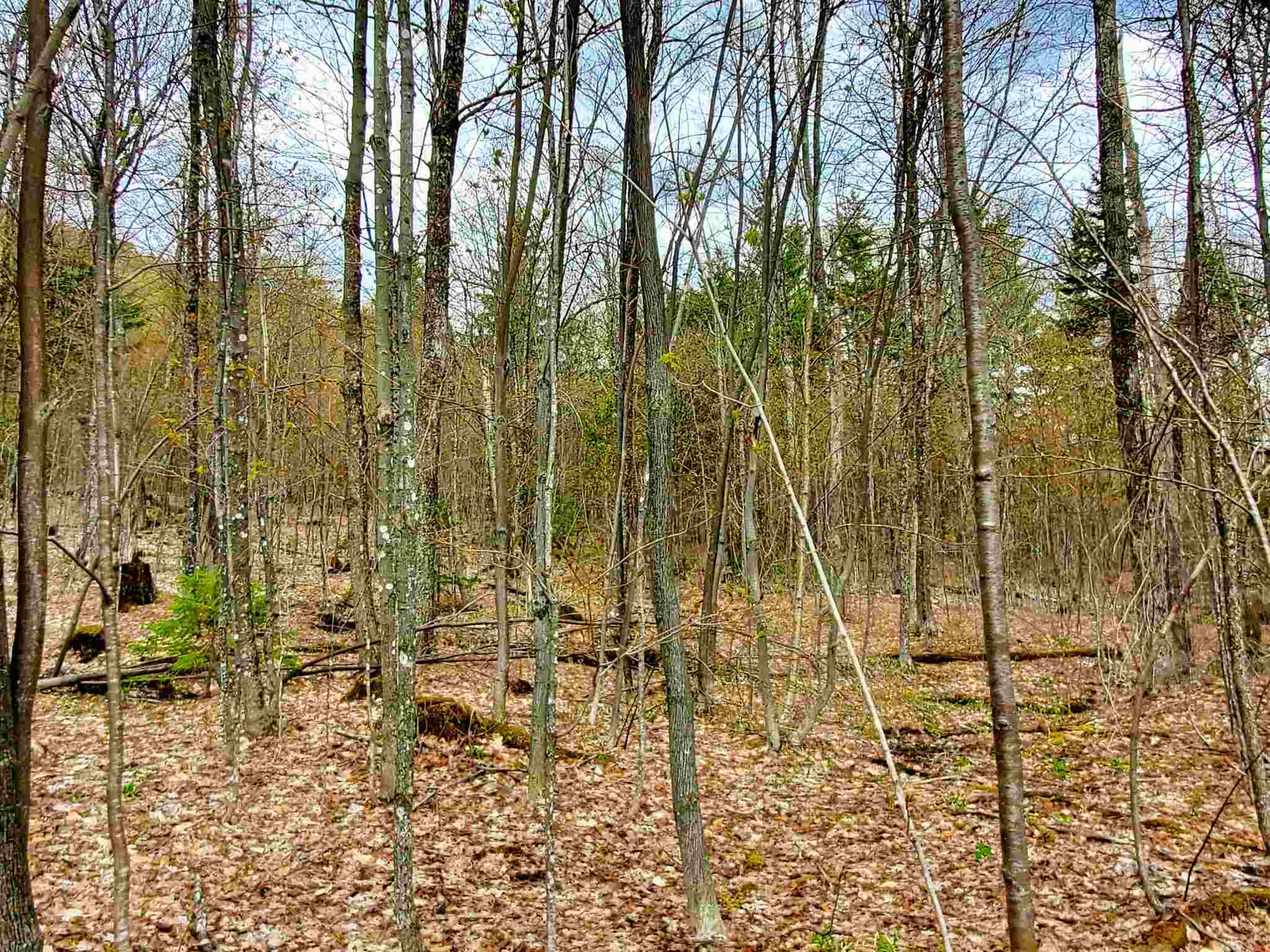 1705 Charlie Wilson Road Bethel VT 05032