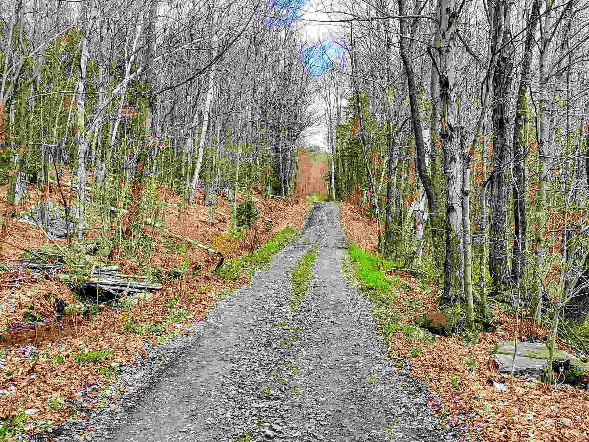 1705 Charlie Wilson Road Bethel VT 05032