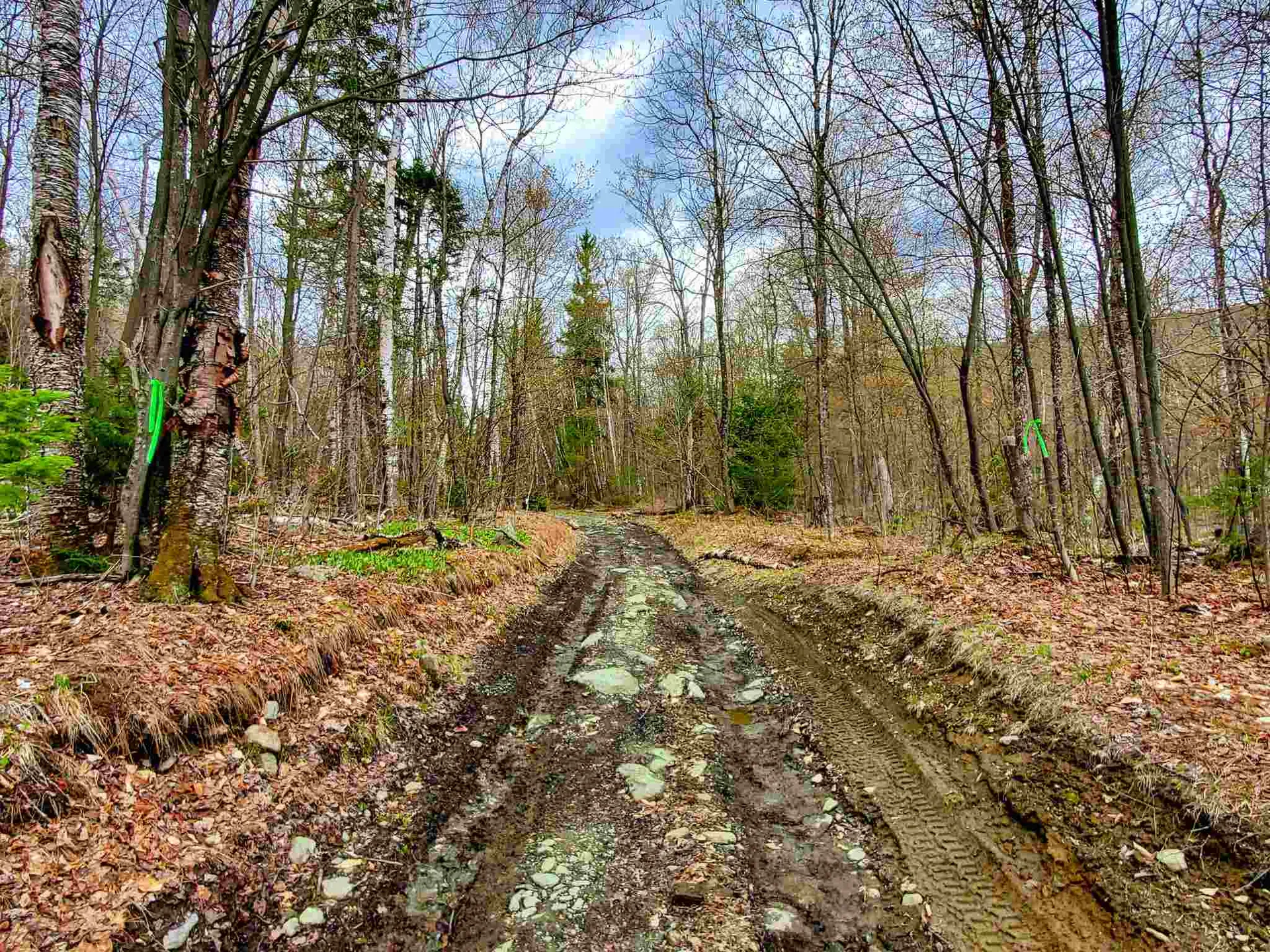 1705 Charlie Wilson Road Bethel VT 05032