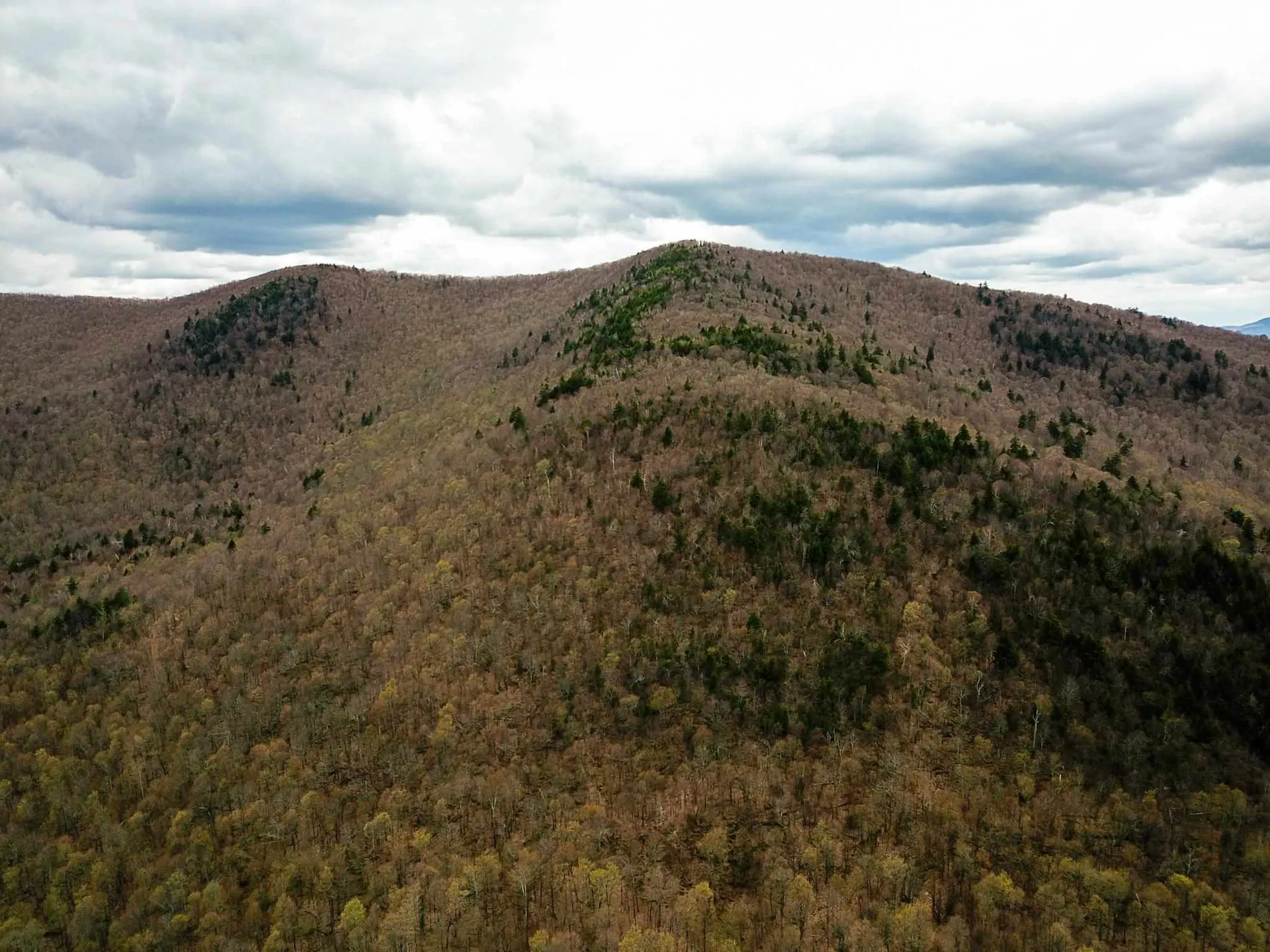 1705 Charlie Wilson Road Bethel VT 05032