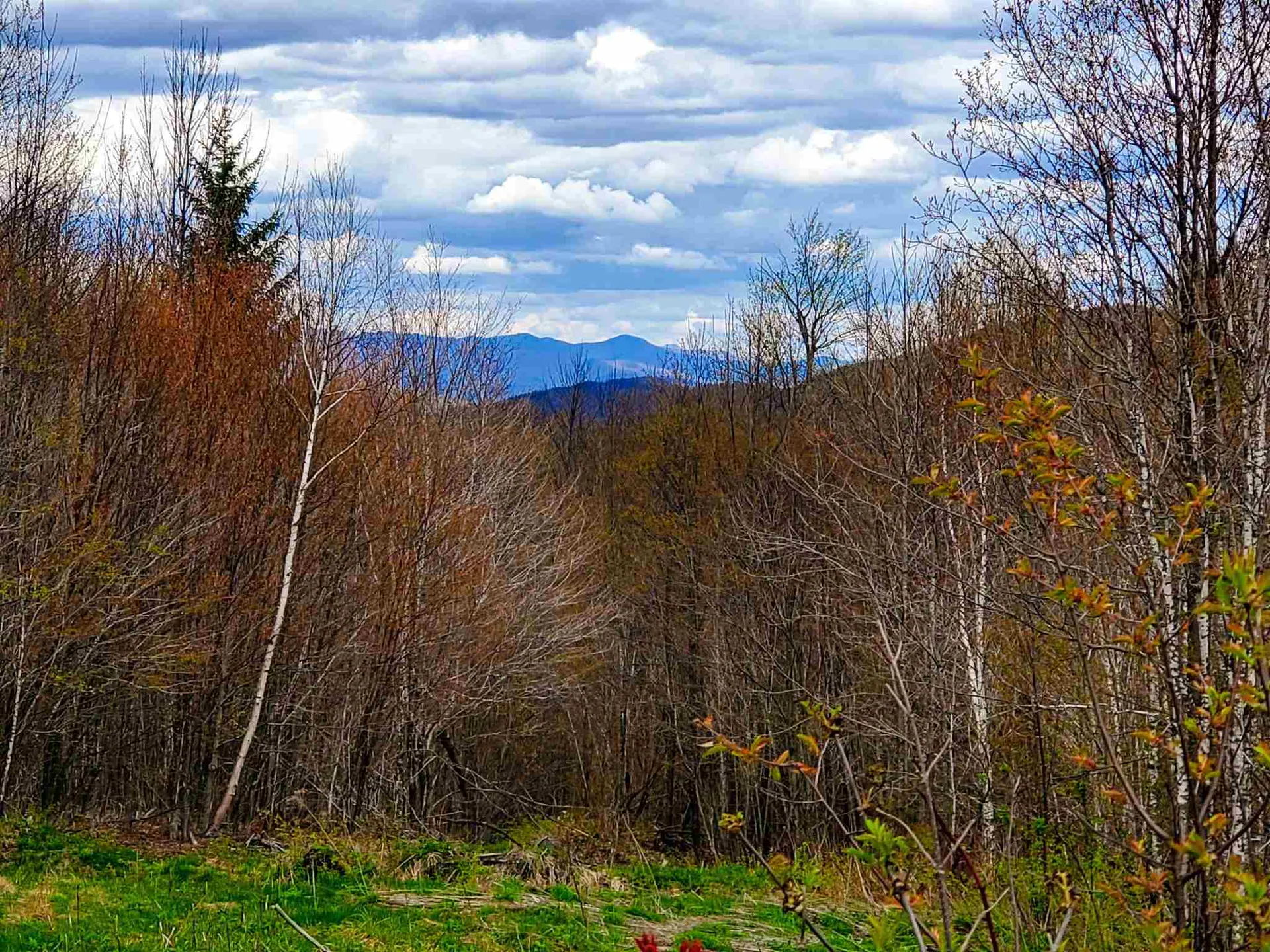1705 Charlie Wilson Road Bethel VT 05032