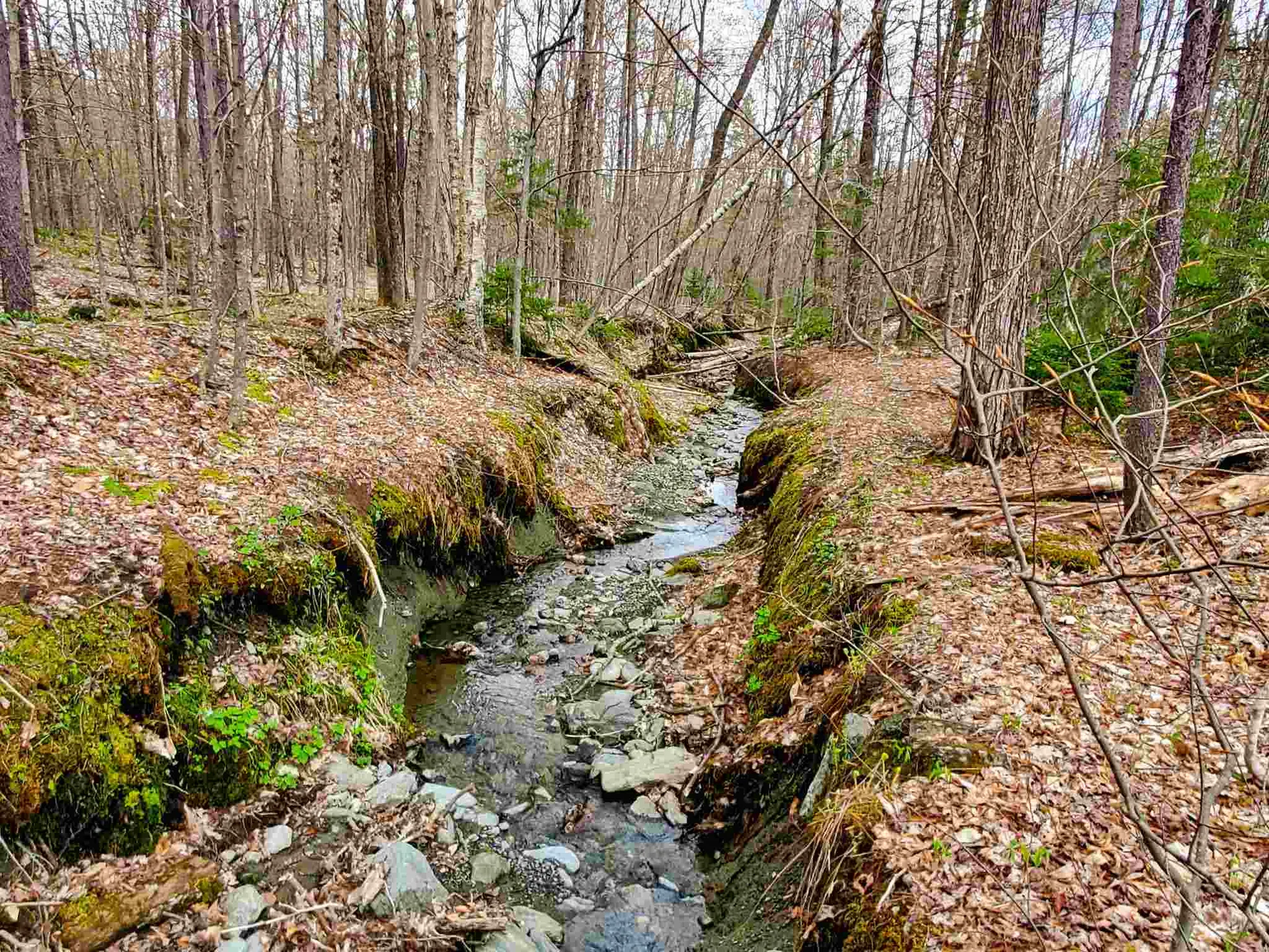 1705 Charlie Wilson Road Bethel VT 05032