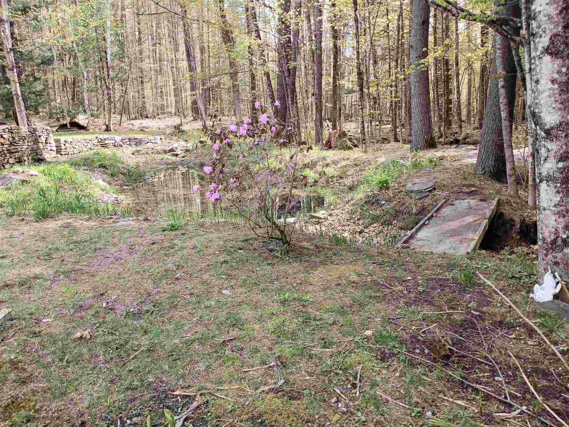8 Tifft Road Cornish NH 03745