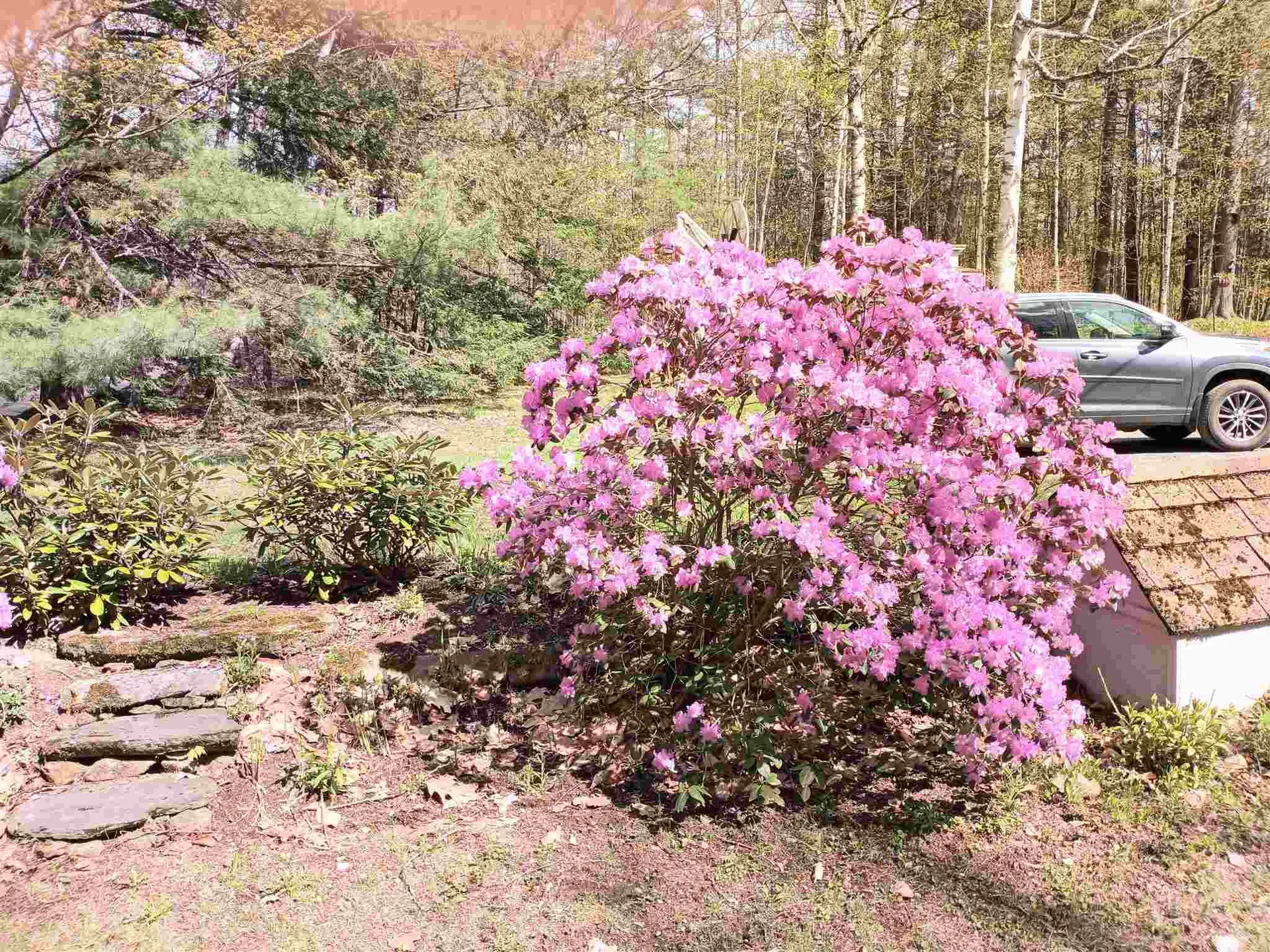 8 Tifft Road Cornish NH 03745