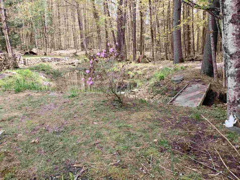 8 Tifft Road Cornish NH 03745