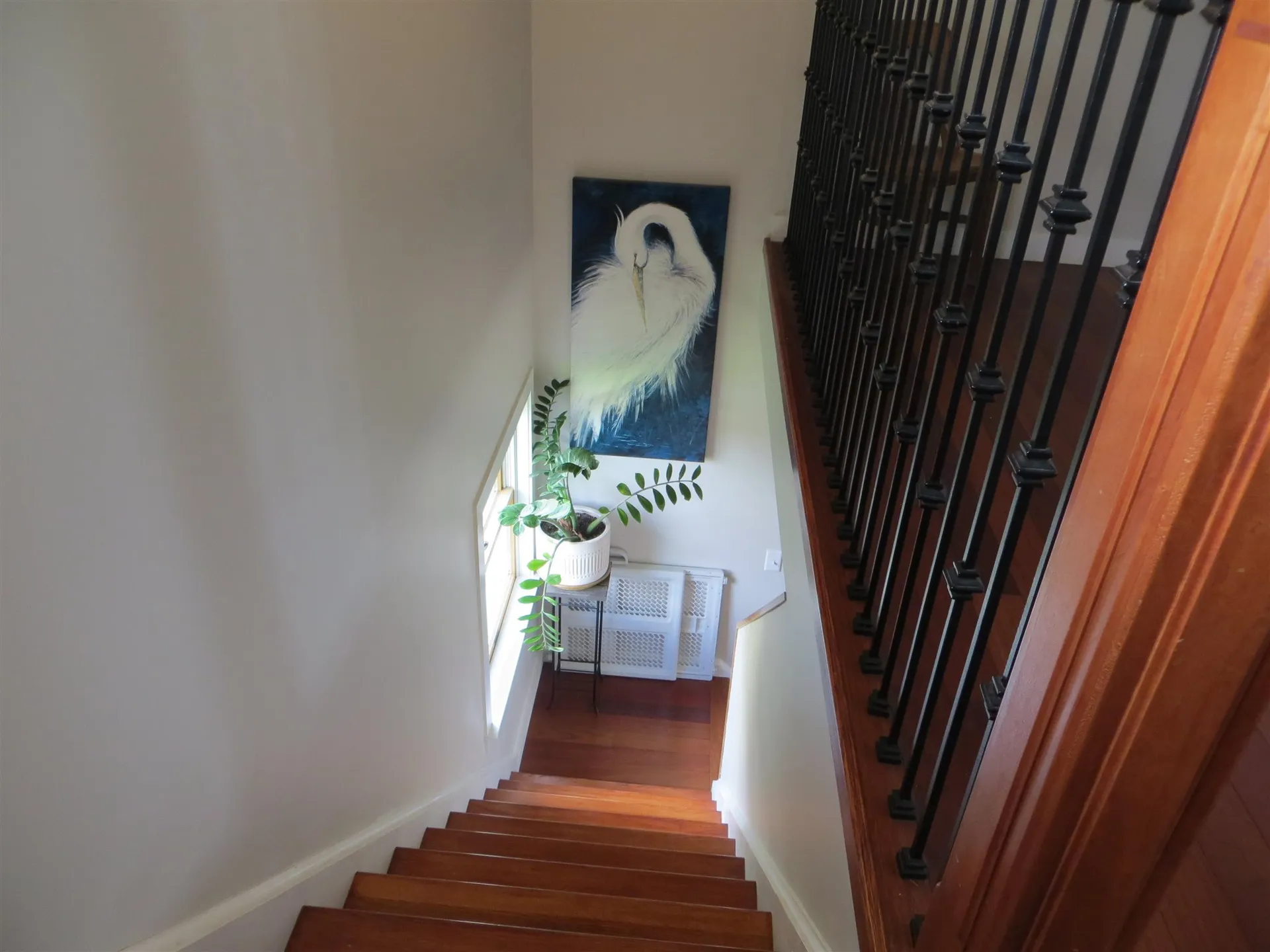 38 Ferguson Avenue Burlington VT 05401