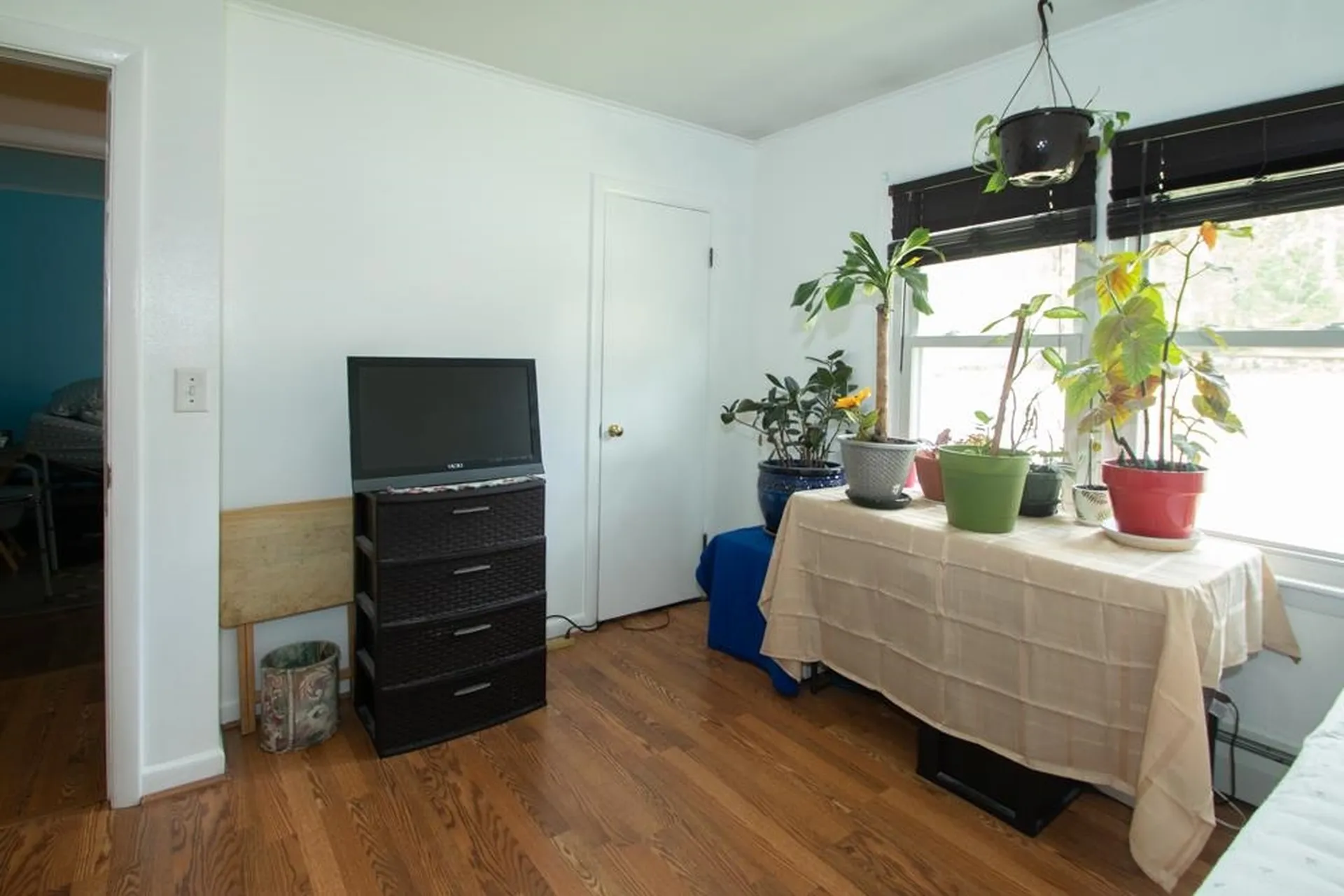 41 Elm Street Milton NH 03851