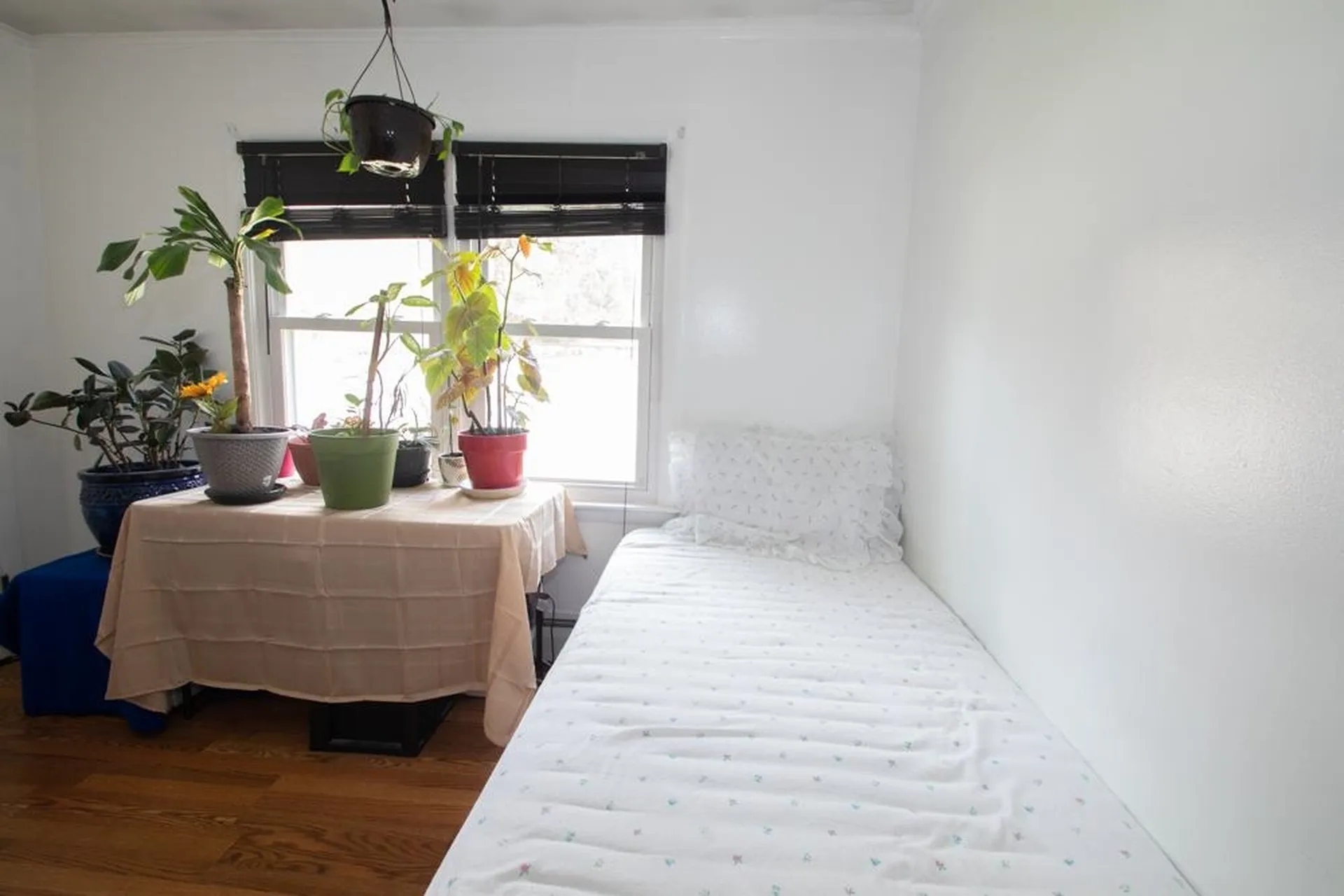 41 Elm Street Milton NH 03851