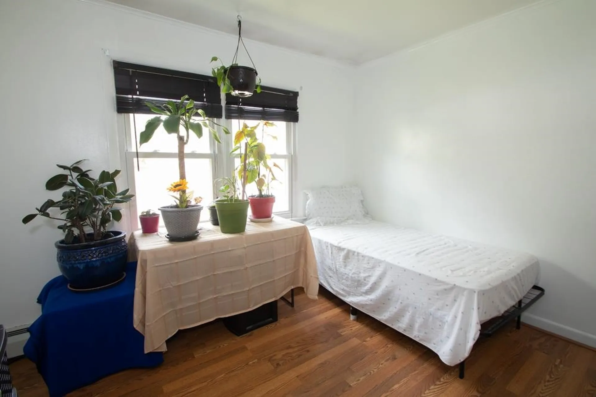41 Elm Street Milton NH 03851