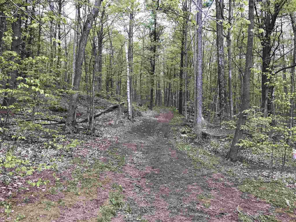 64 Long Pond Drive Milton VT 05468