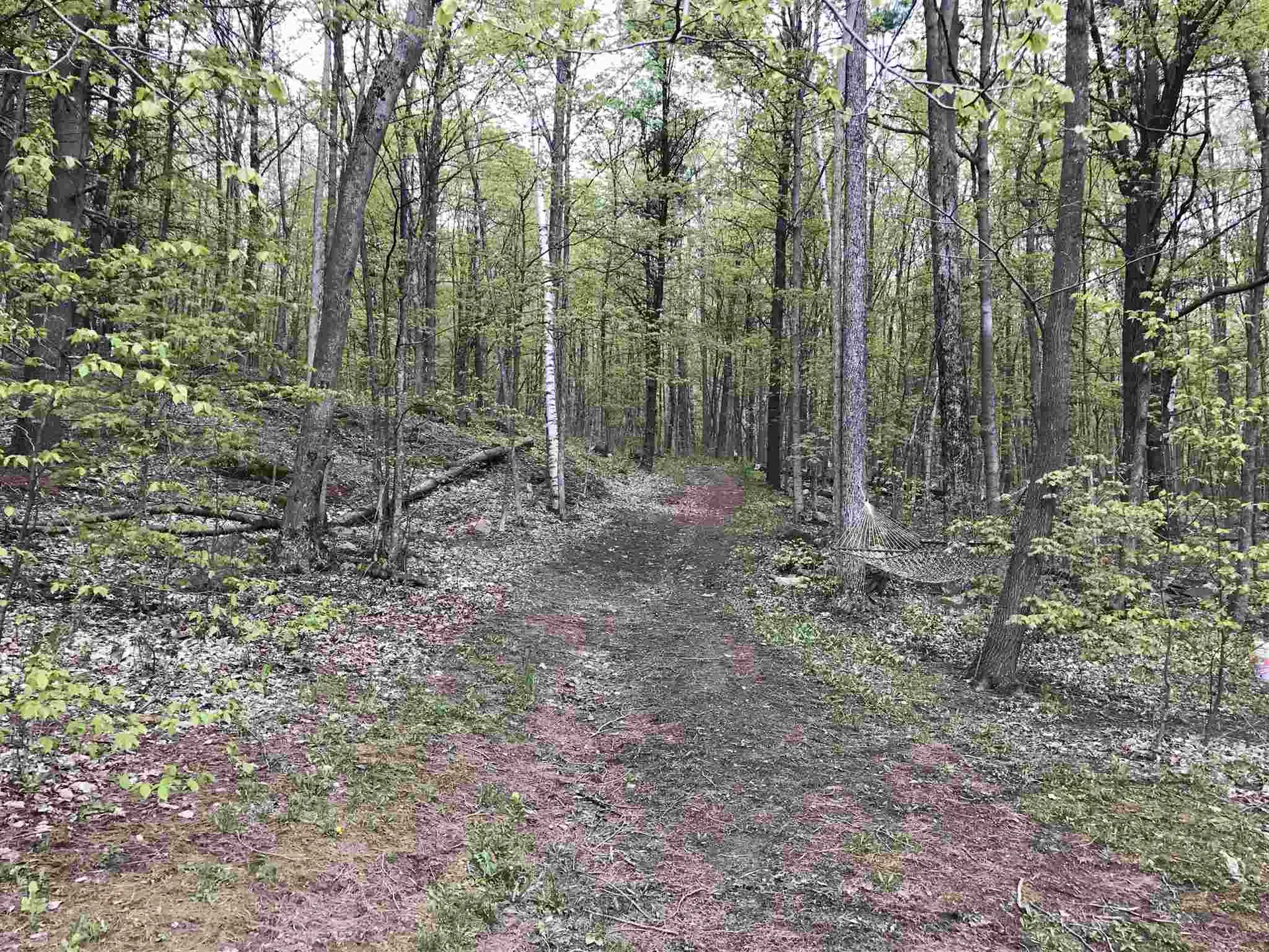 64 Long Pond Drive Milton VT 05468