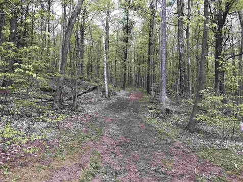 64 Long Pond Drive Milton VT 05468