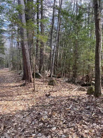 16 Taylor Haynes Road Loudon NH 03307