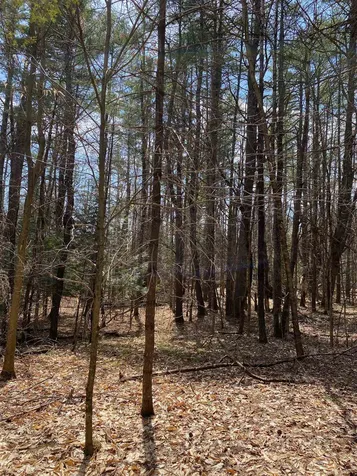 16 Taylor Haynes Road Loudon NH 03307