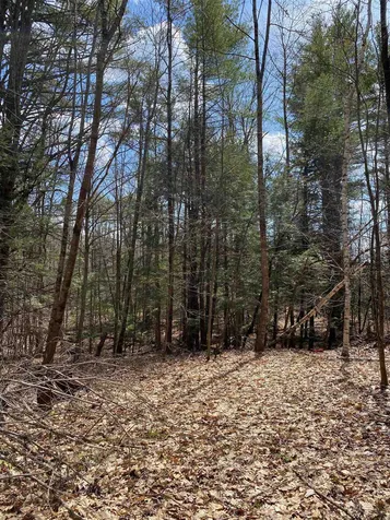 16 Taylor Haynes Road Loudon NH 03307
