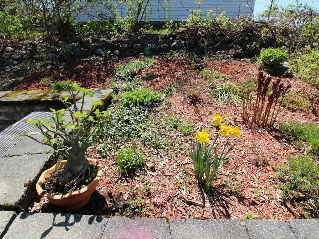 496 Birchwood Drive Hinesburg VT 05461