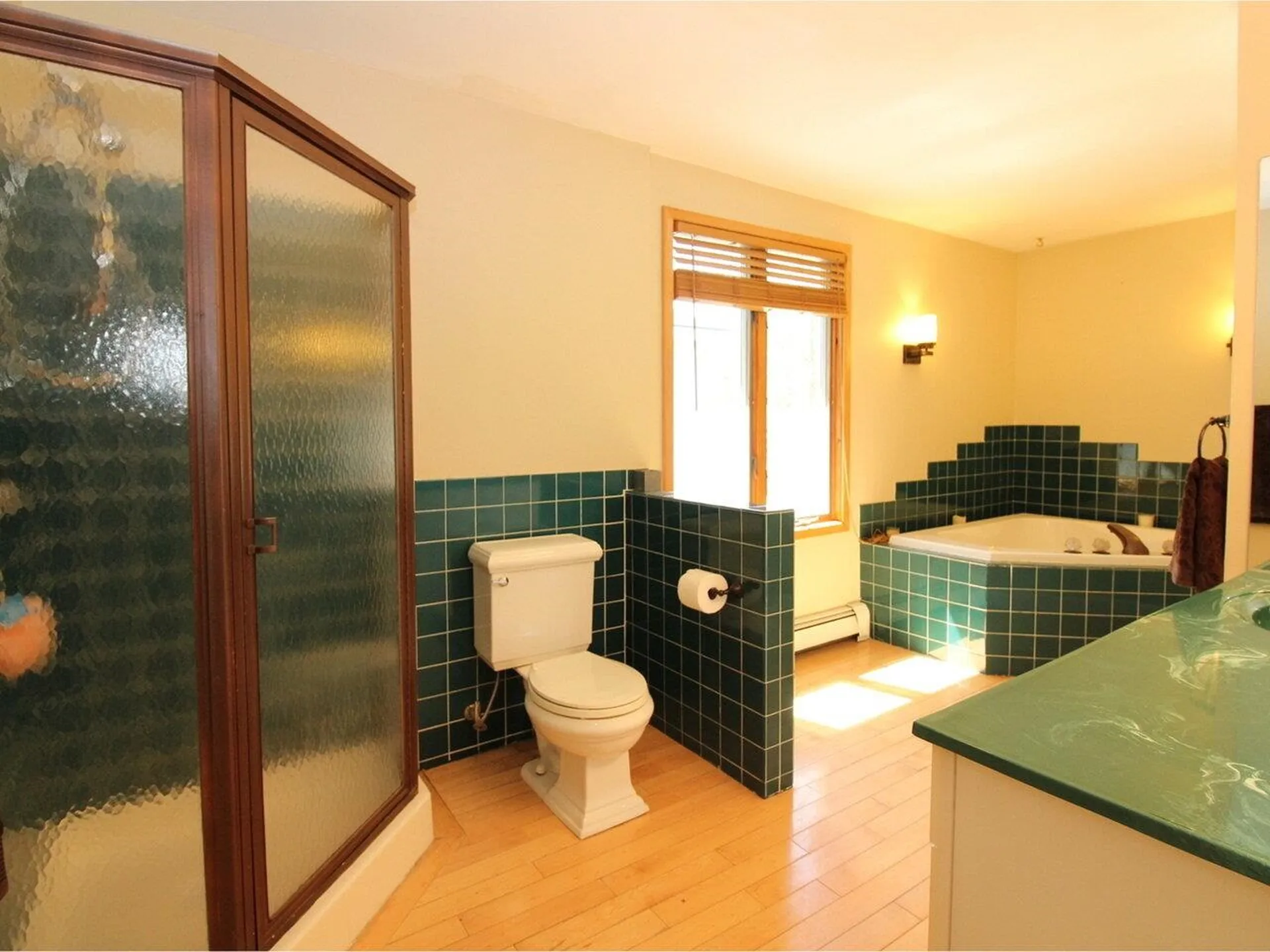 496 Birchwood Drive Hinesburg VT 05461