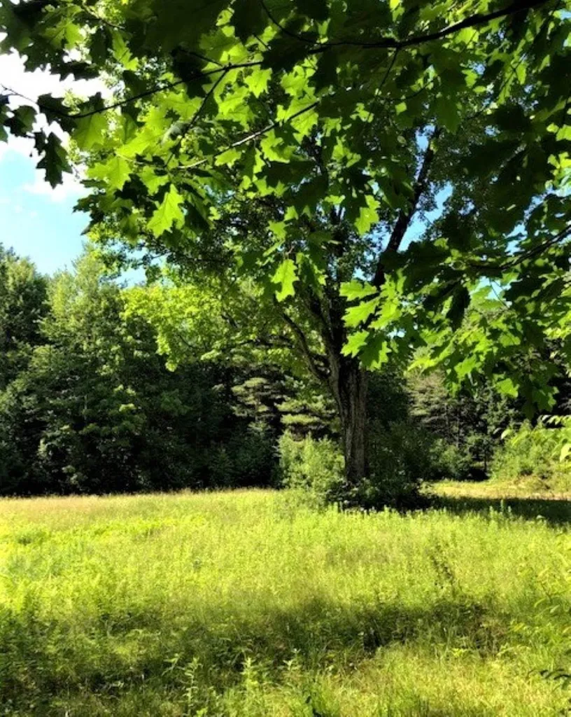 125 Corey Mine Road Sullivan NH 03445