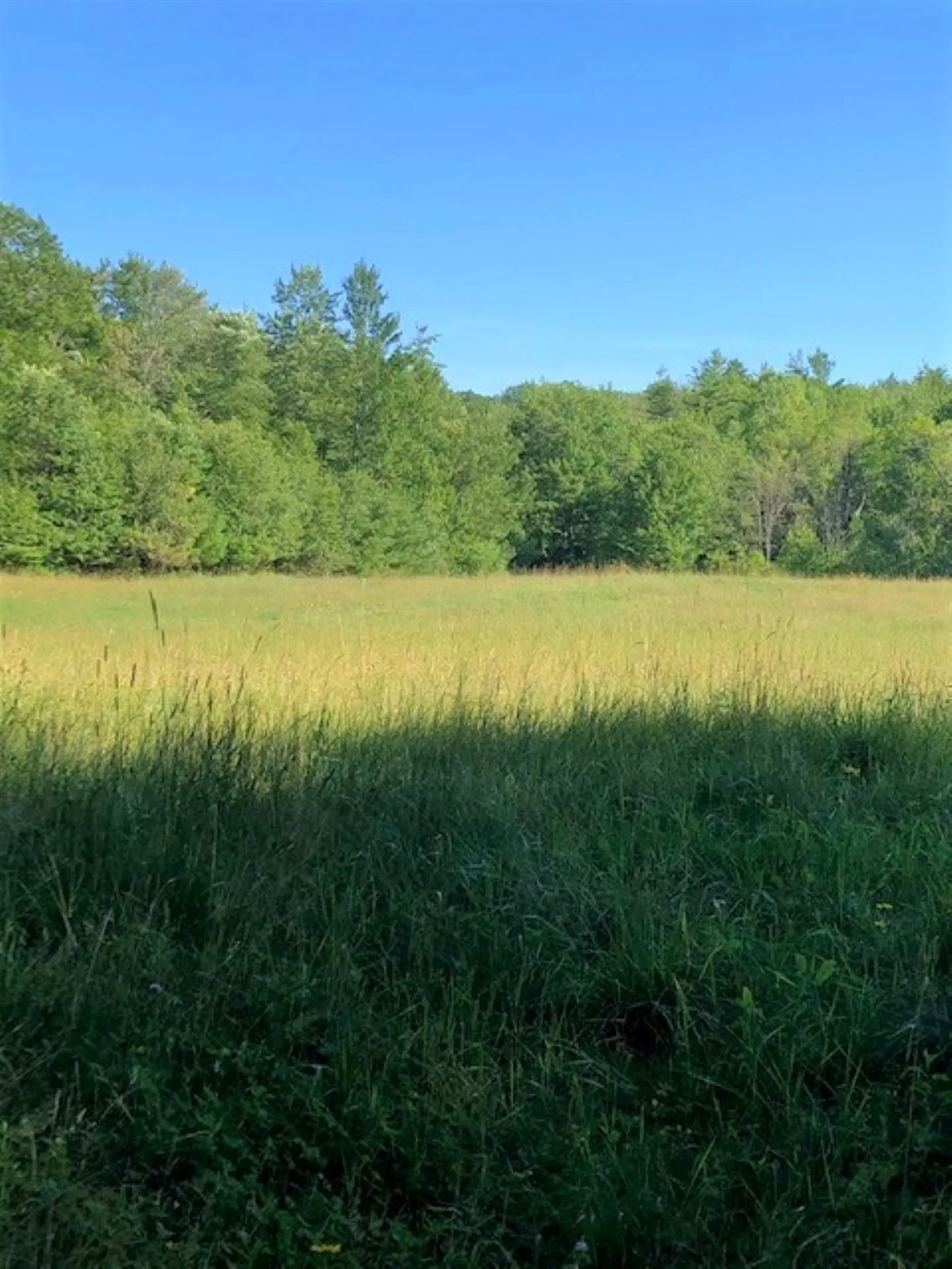 125 Corey Mine Road Sullivan NH 03445
