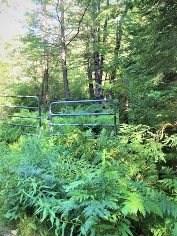 125 Corey Mine Road Sullivan NH 03445
