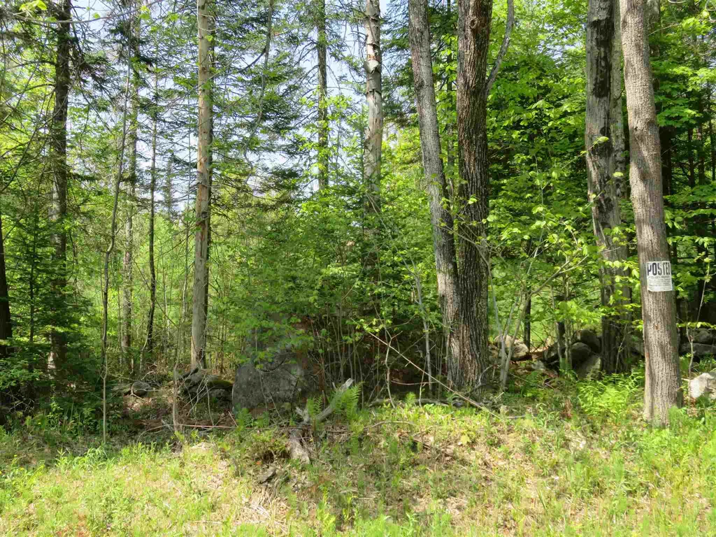 South Road Canaan NH 03741