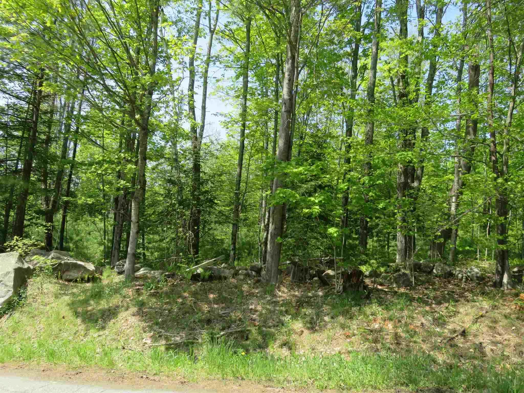 South Road Canaan NH 03741