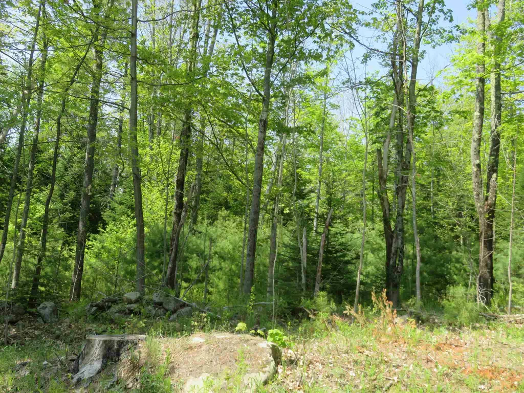 South Road Canaan NH 03741