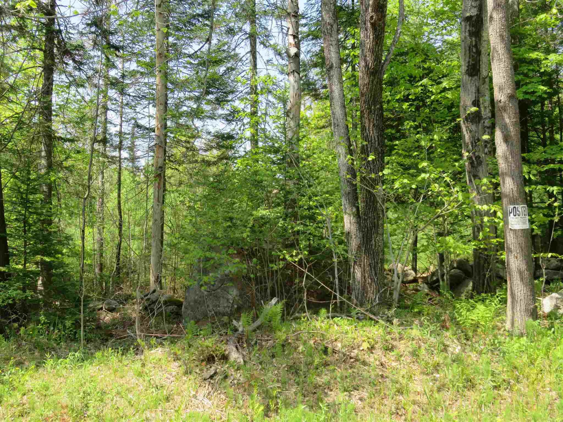South Road Canaan NH 03741
