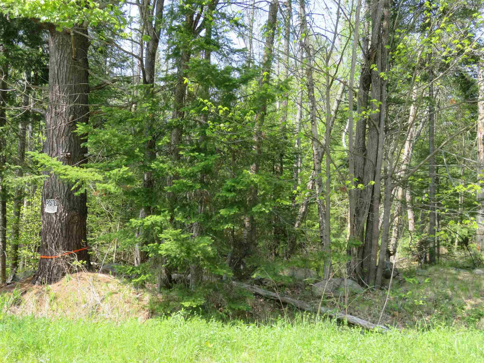 South Road Canaan NH 03741