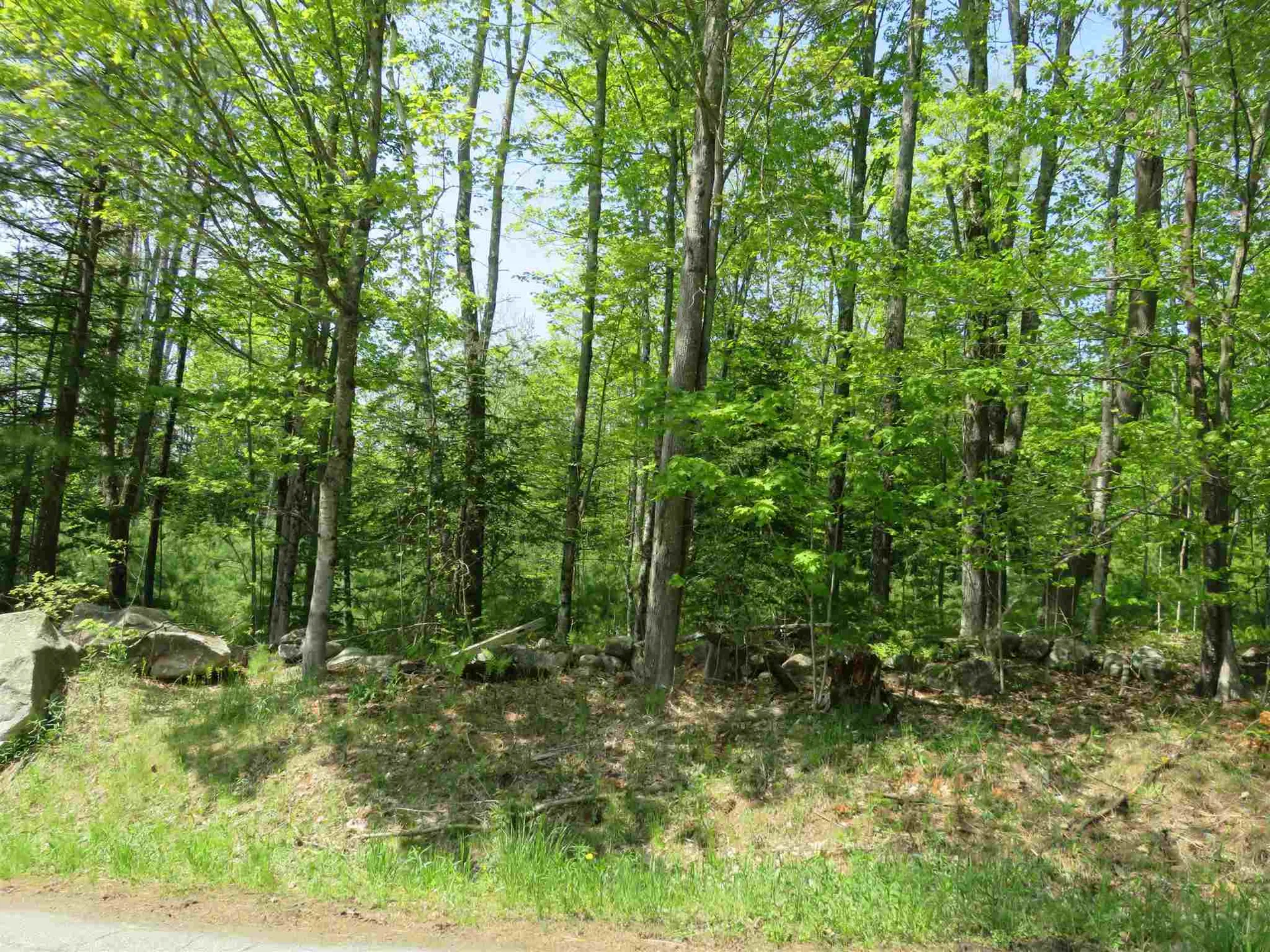 South Road Canaan NH 03741