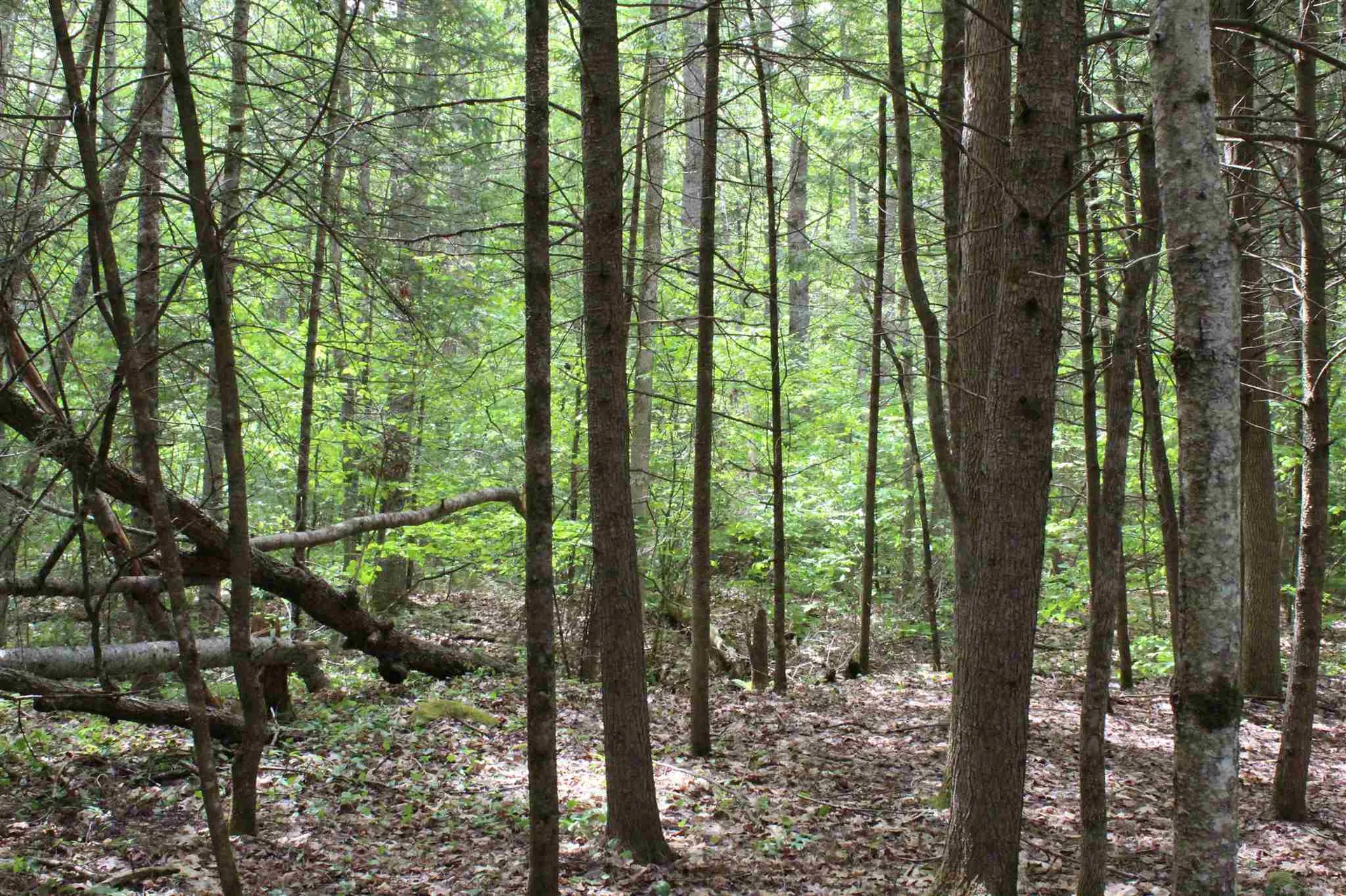 South Road Canaan NH 03741