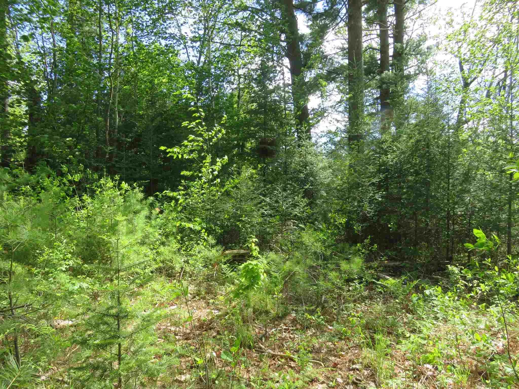 Switch Road Canaan NH 03741