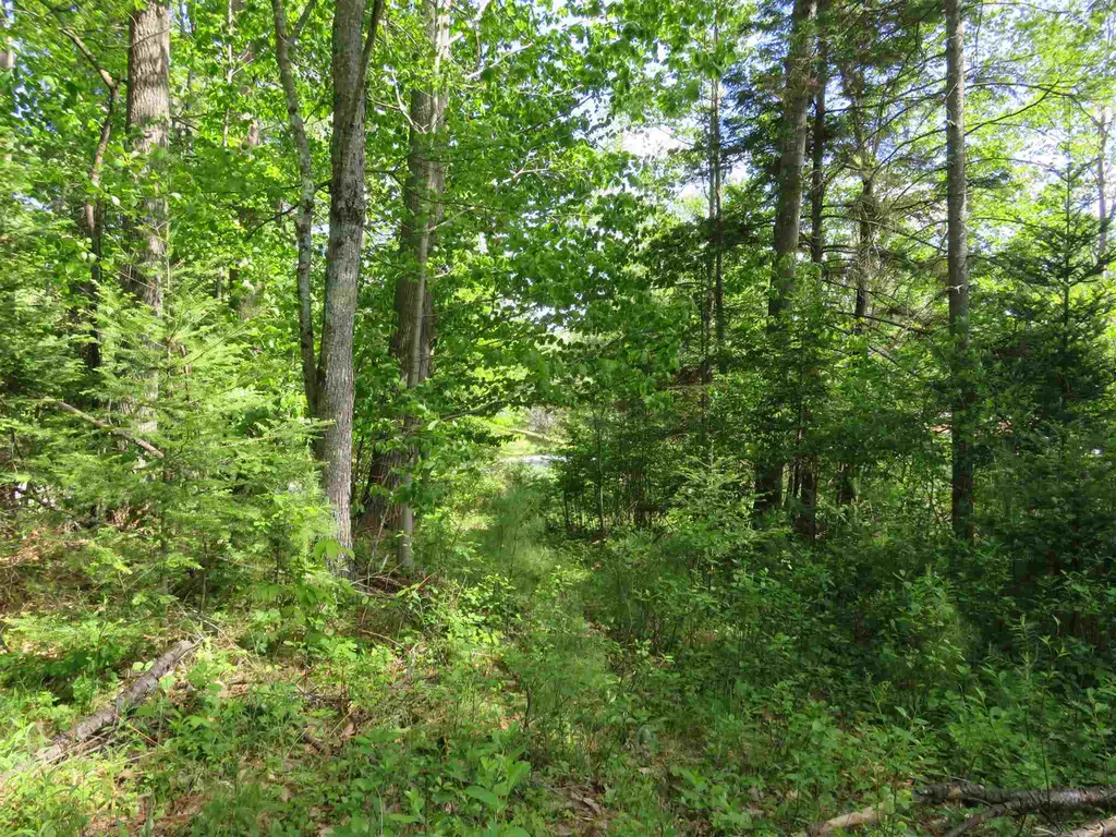 Switch Road Canaan NH 03741