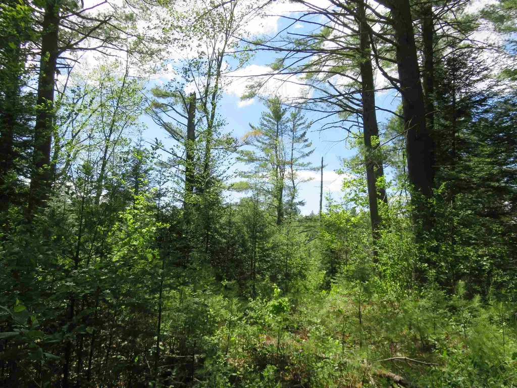 Switch Road Canaan NH 03741
