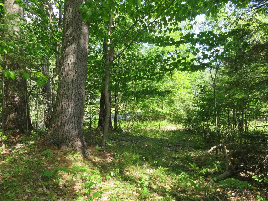 Switch Road Canaan NH 03741
