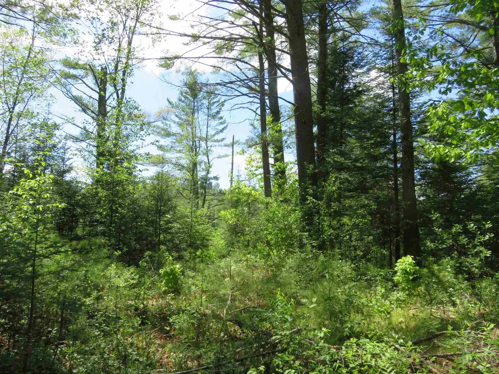 Switch Road Canaan NH 03741