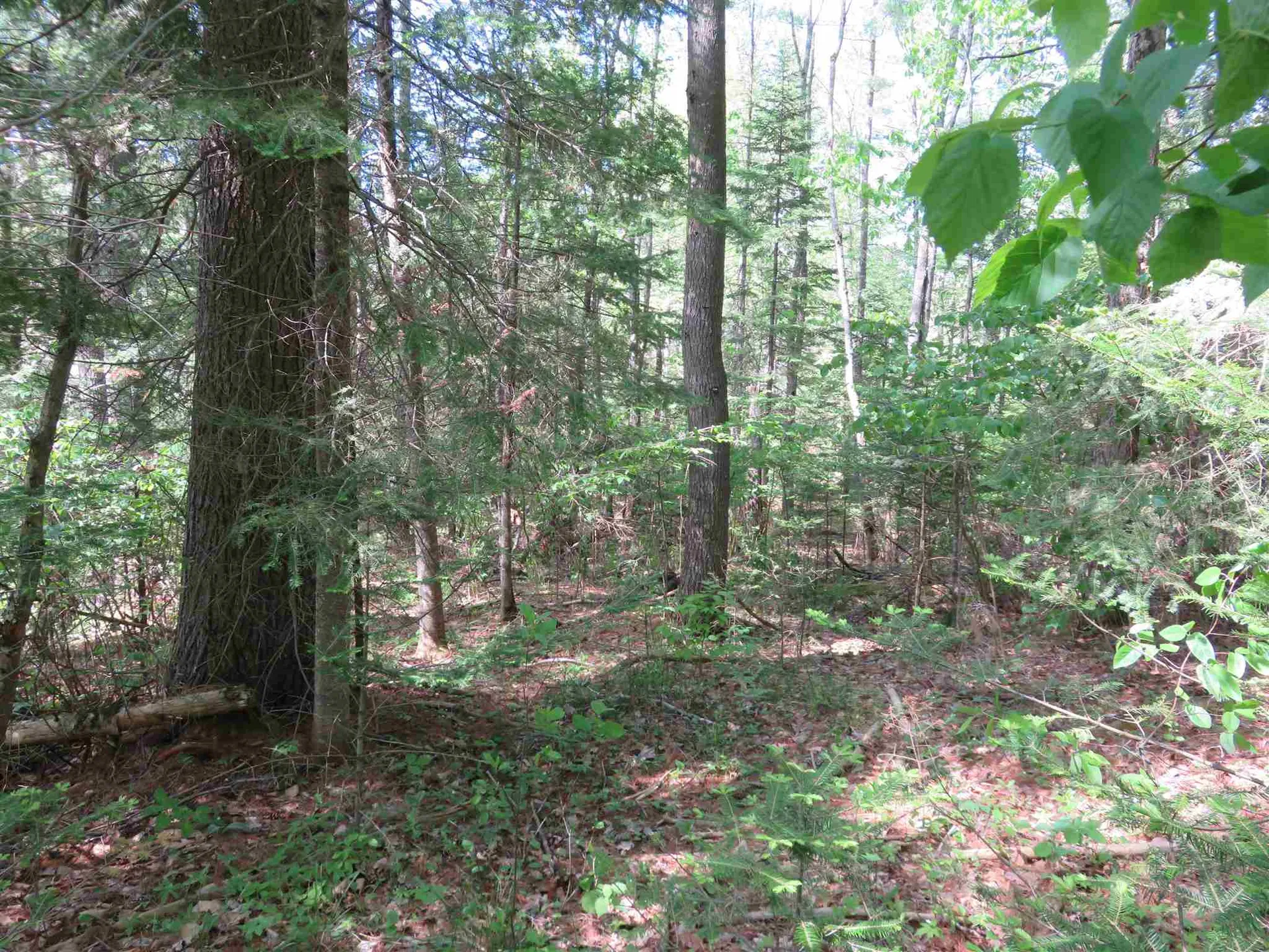 Switch Road Canaan NH 03741