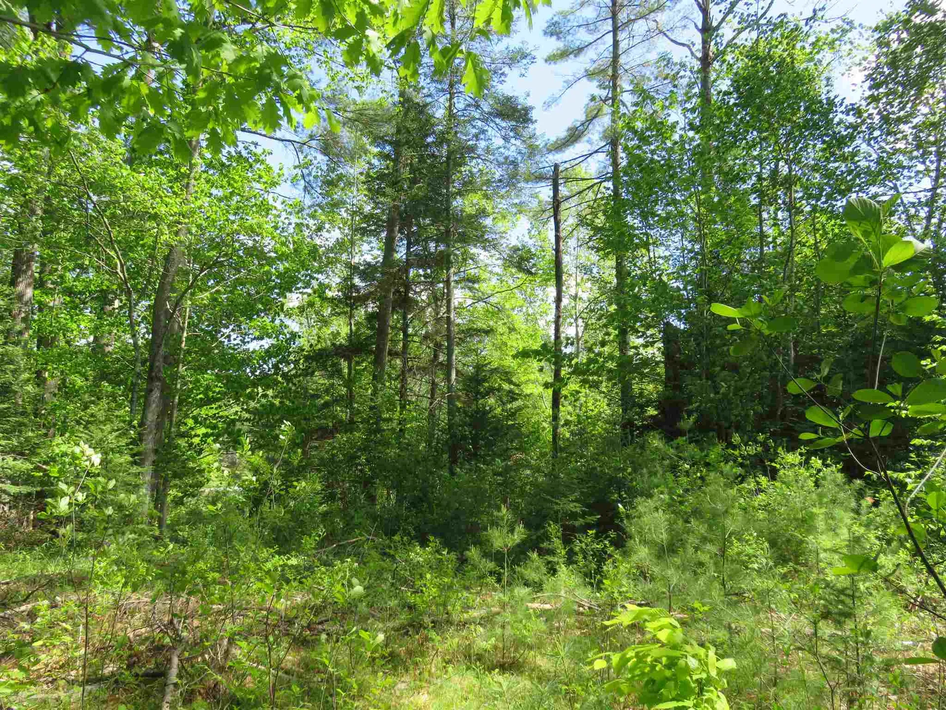 Switch Road Canaan NH 03741