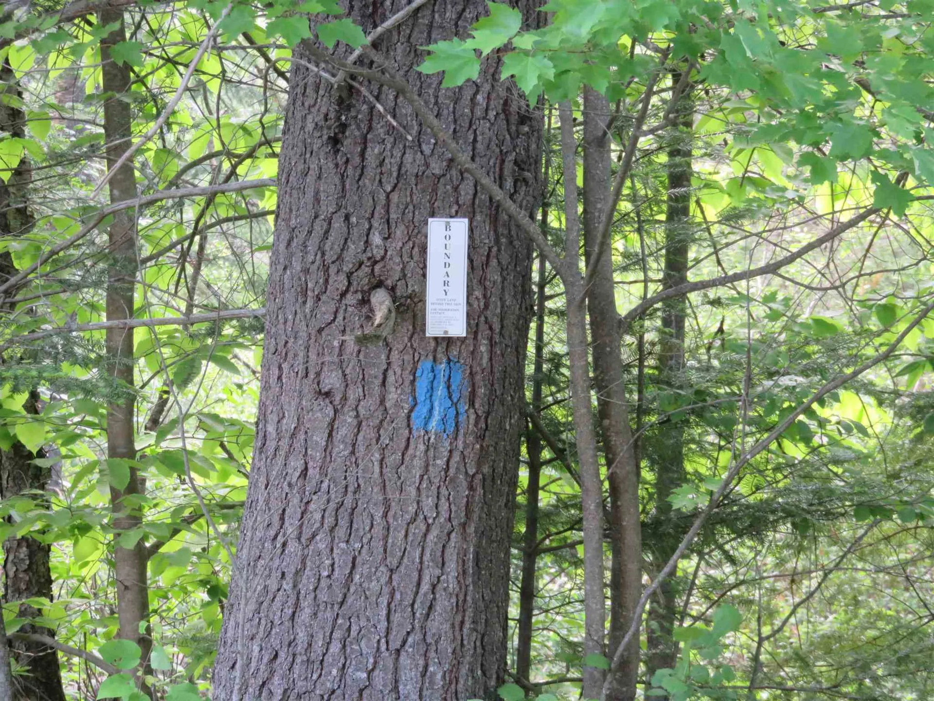 Switch Road Canaan NH 03741