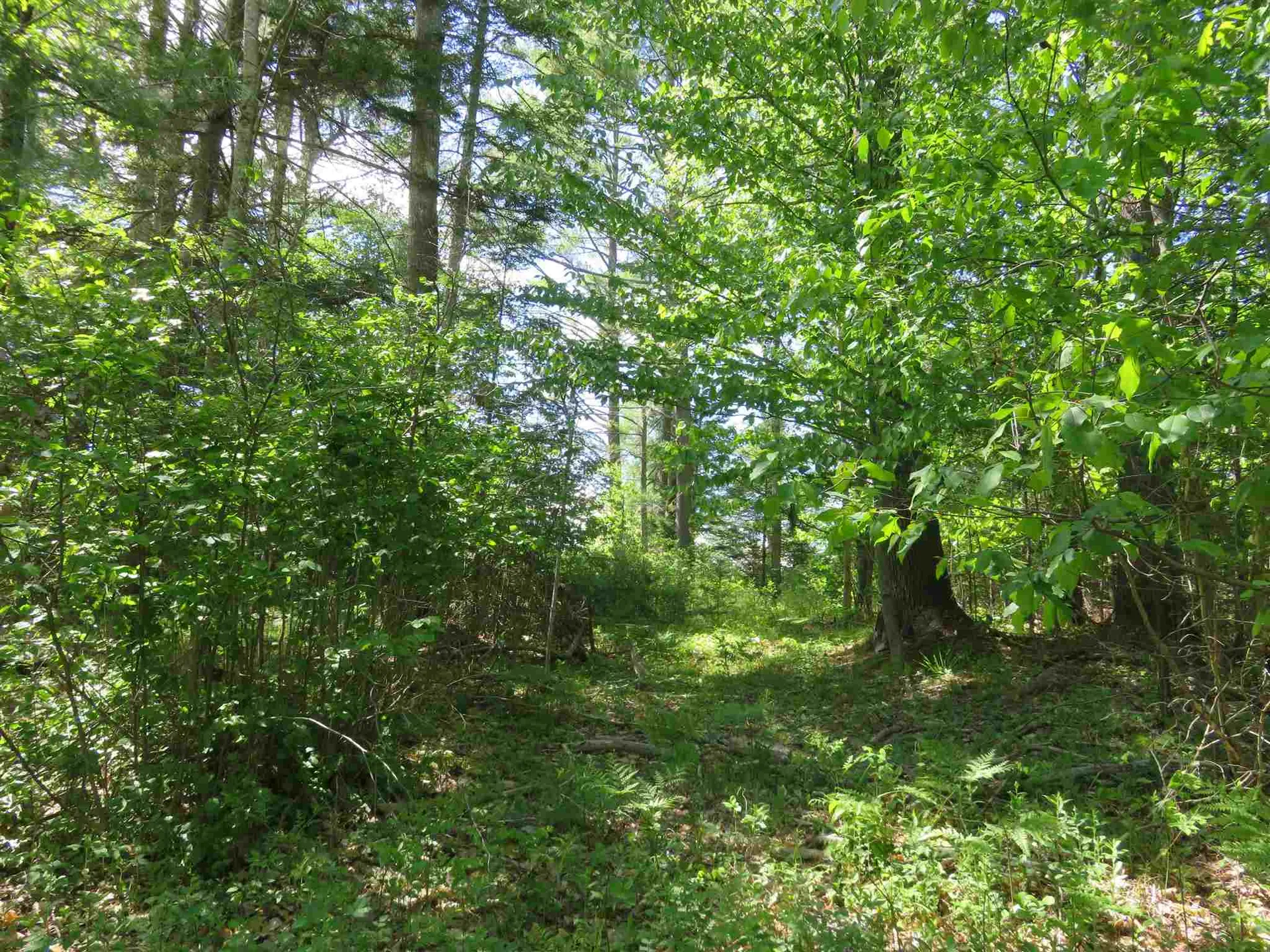 Switch Road Canaan NH 03741