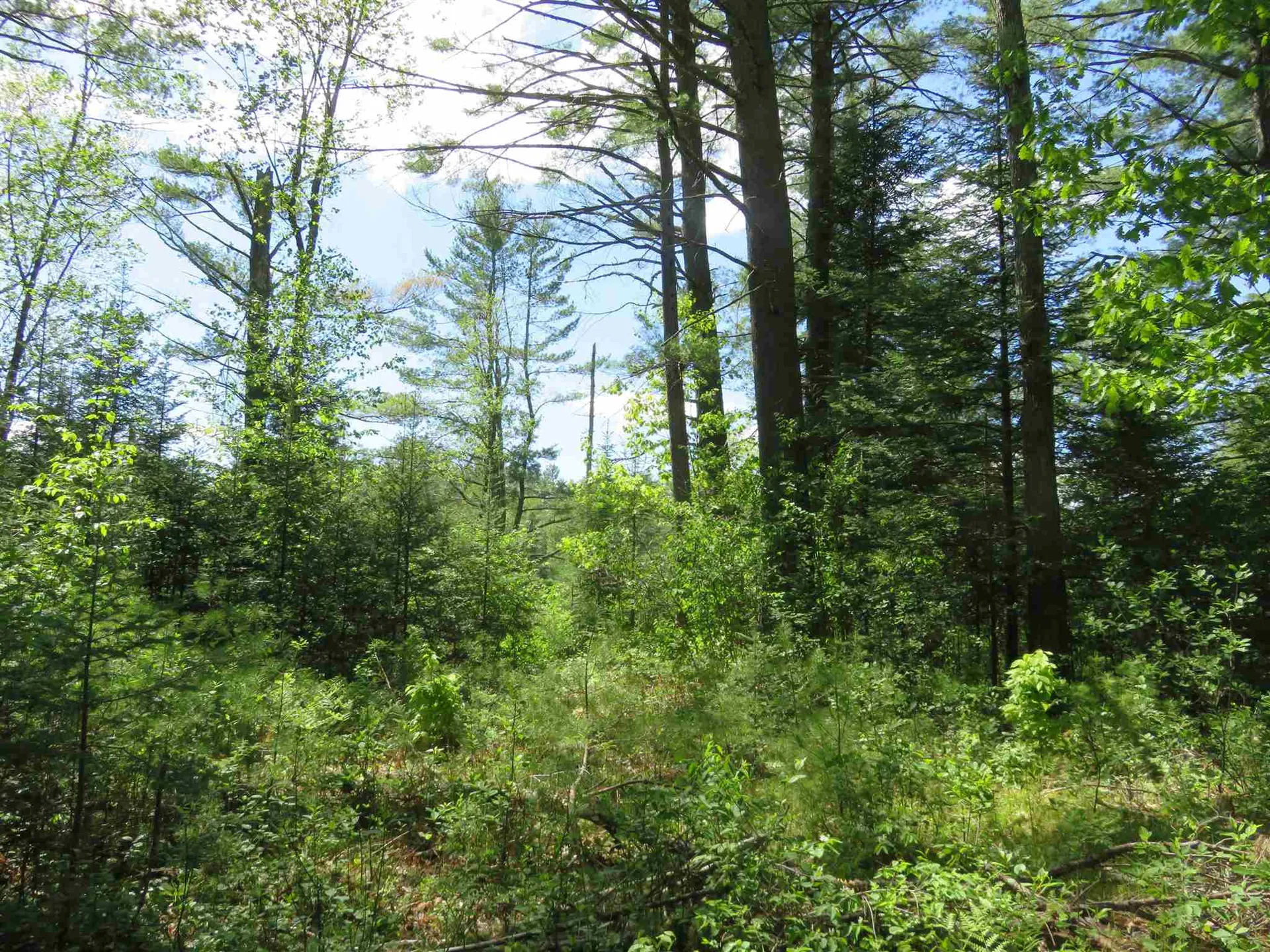 Switch Road Canaan NH 03741
